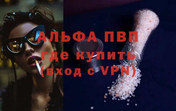 ешки Новозыбков