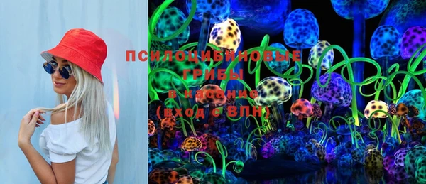 ешки Новозыбков