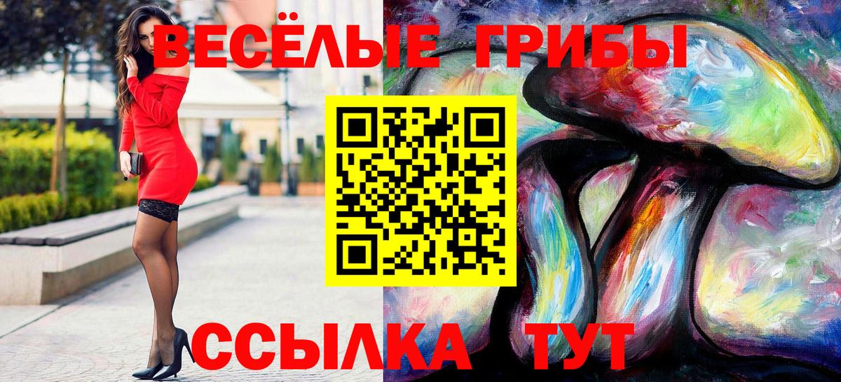 Нарткала  Галлюциногенные грибы MAGIC MUSHROOMS  Вход с VPN 