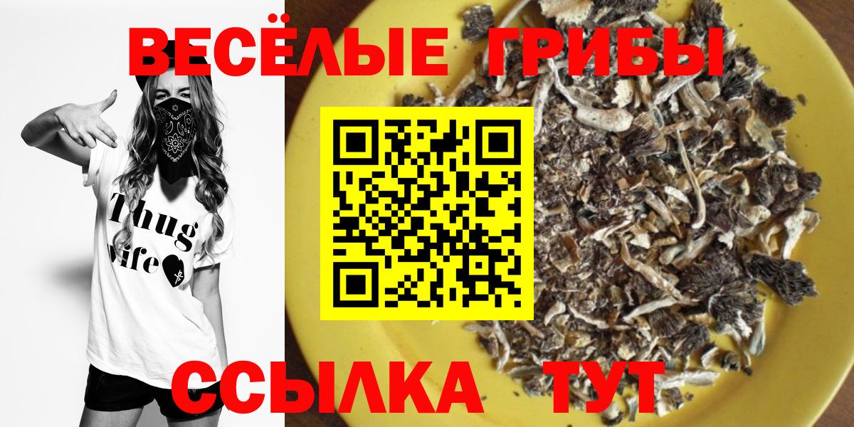 Псилоцибиновые грибы Magic Shrooms Нарткала